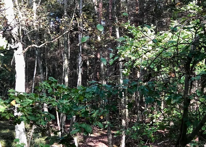 公寓 